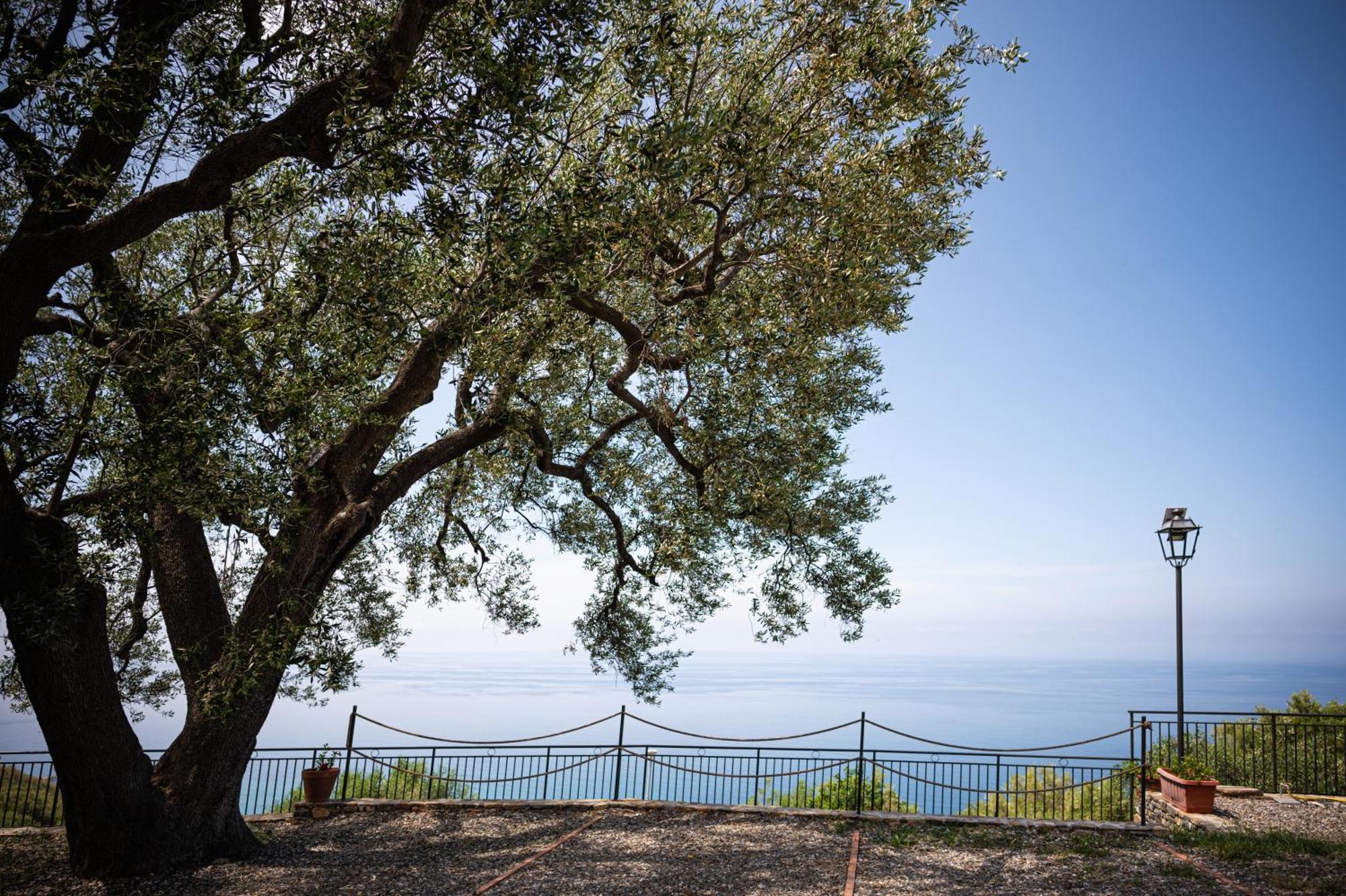 La Casa Del Maestro Attico Apartment Pisciotta Bagian luar foto