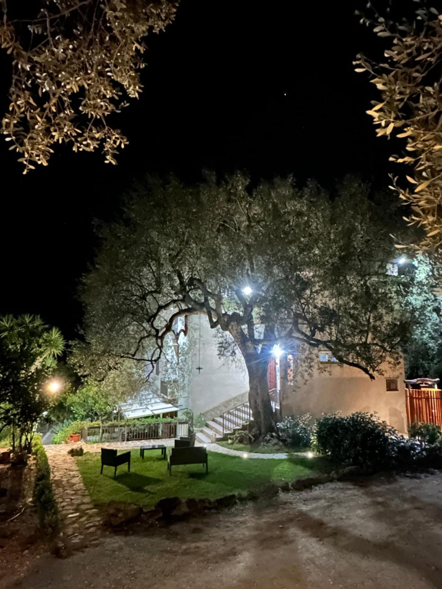 La Casa Del Maestro Attico Apartment Pisciotta Bagian luar foto