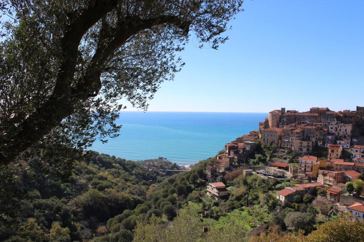 La Casa Del Maestro Attico Apartment Pisciotta Bagian luar foto