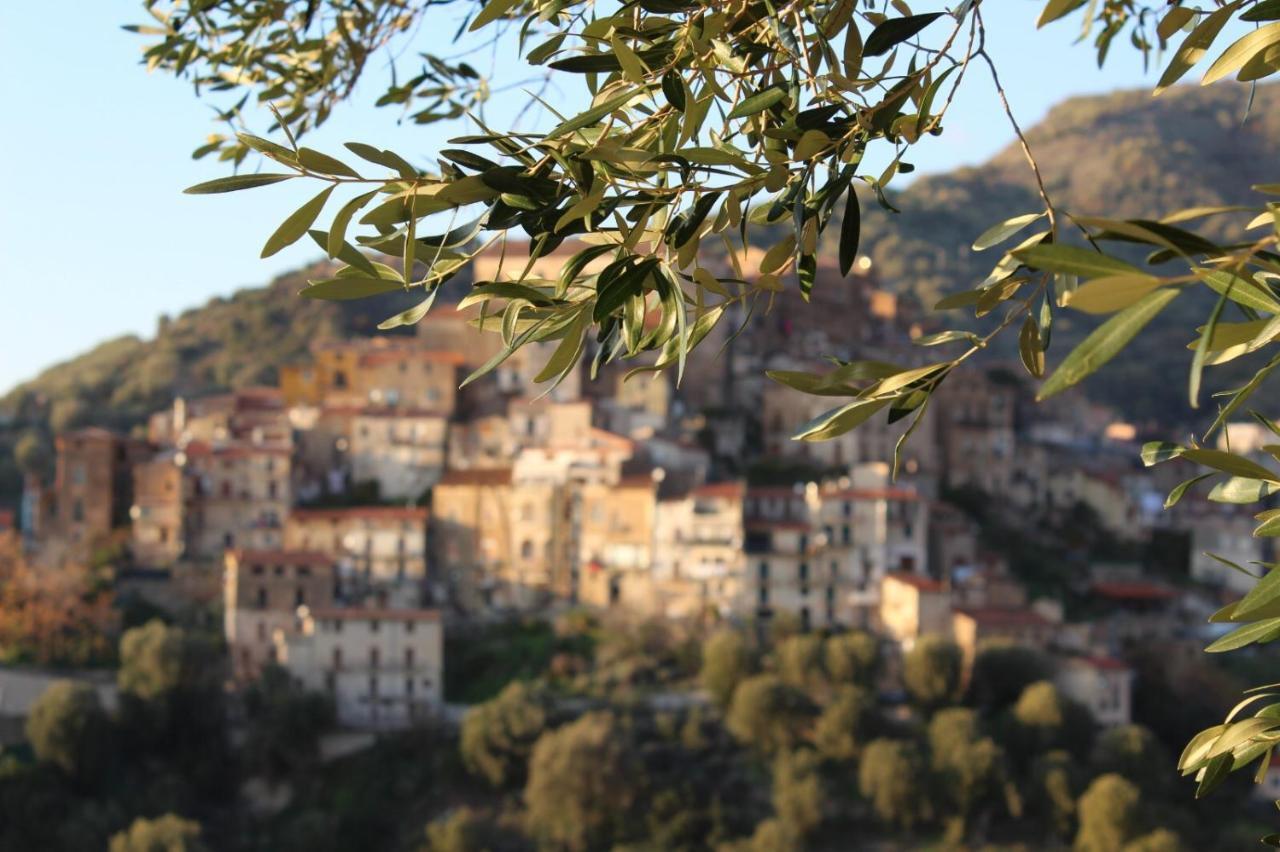 La Casa Del Maestro Attico Apartment Pisciotta Bagian luar foto